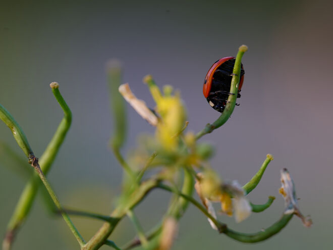 Kurviges Gelände  ;  )