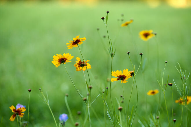 Morgen im Hellbrunner Park