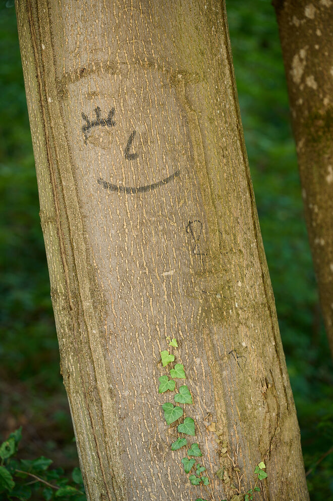 Keep smiling