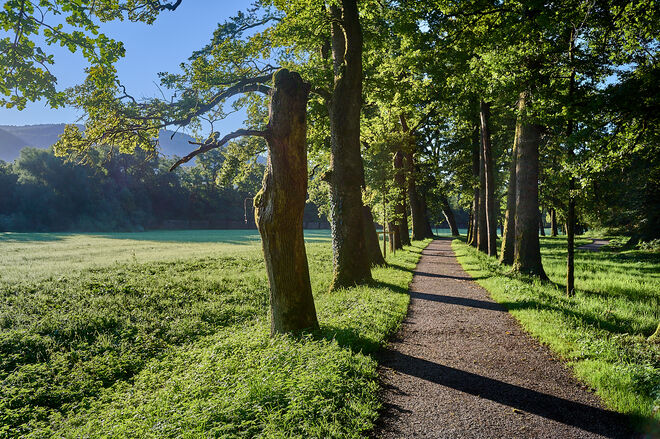 Der Weg ist das Ziel