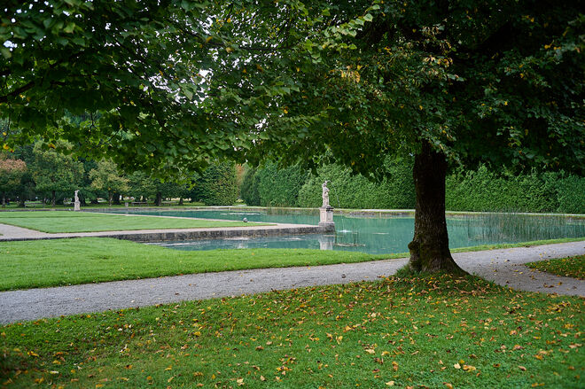 Verfärbtes Laub im Hellbrunner Park
