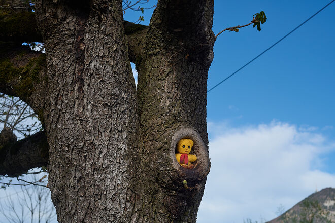 Big Teddy is watching you ; )