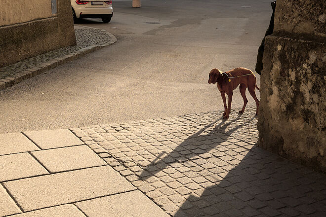 Um das Domeck geschaut ; )