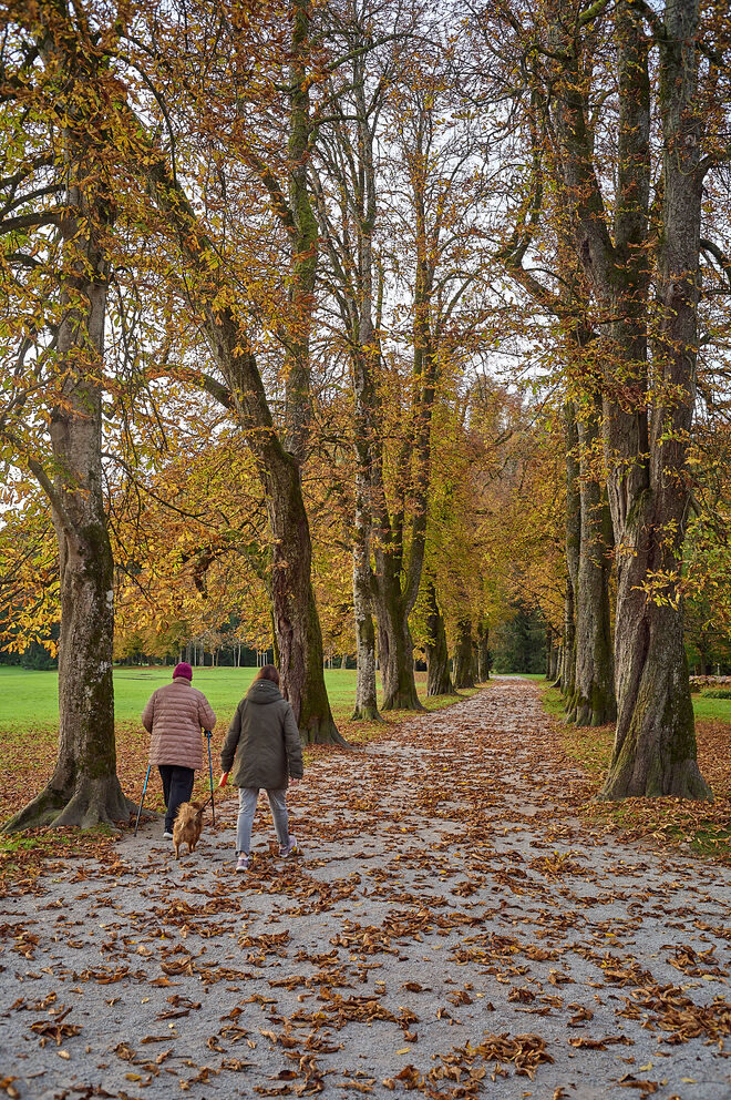 Kastanienallee im Hellbrunner Park