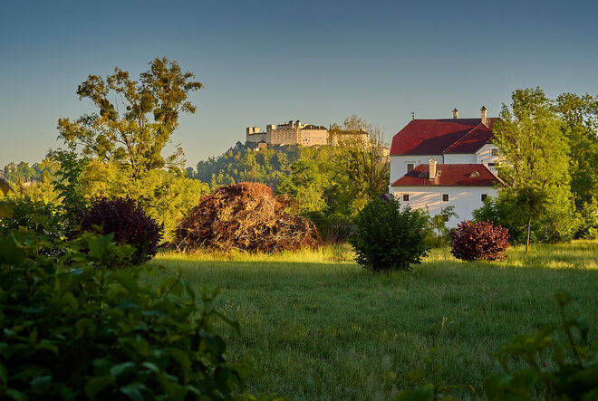 Von der Hofhaymer Allee