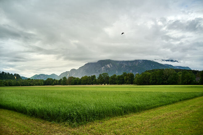 Vom Kreuzhofweg
