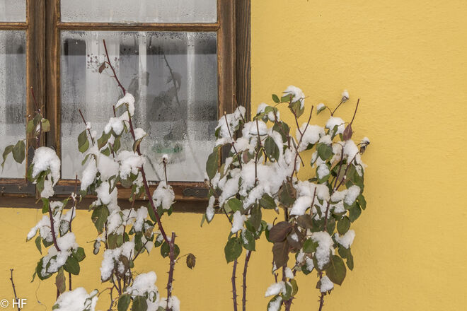 Winterfenster