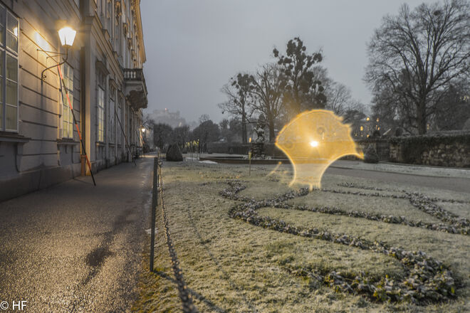 Mirabellgarten 1