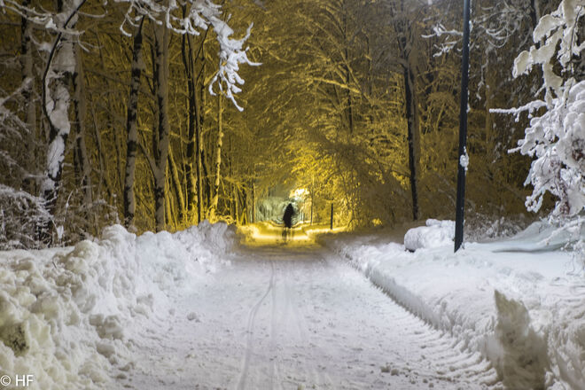 Der Weg ist das Ziel 2