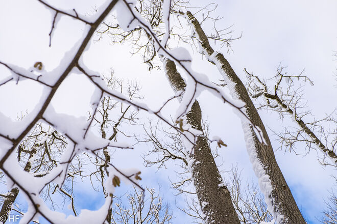Winterhimmel