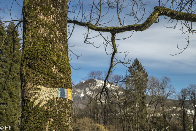 Im Volksgarten