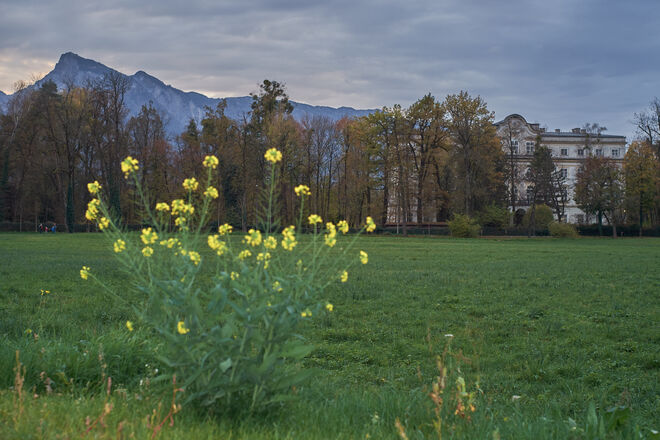 Schloss Leopoldskron