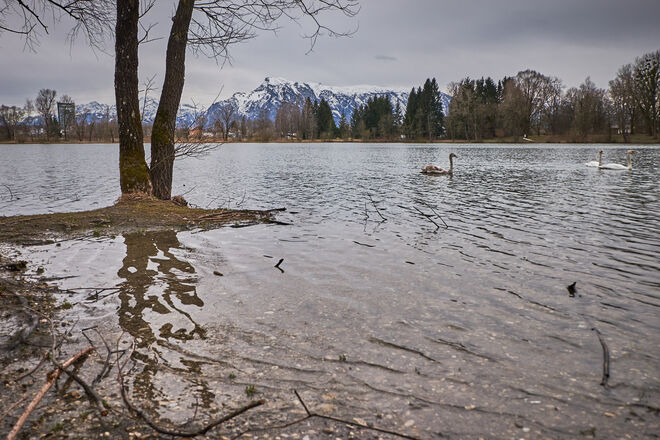Salzachsee