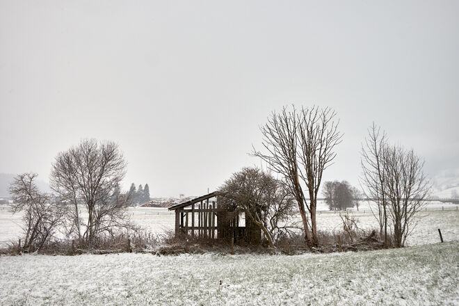 Holz hinter der Hütte