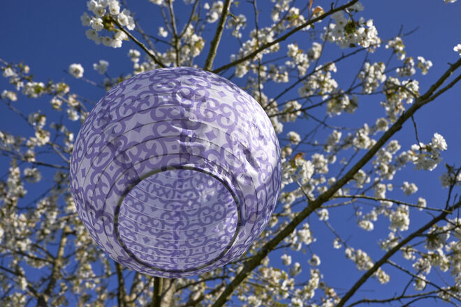 FROHE OSTERN der Bloggemeinschaft sowie dem SN-Team ....