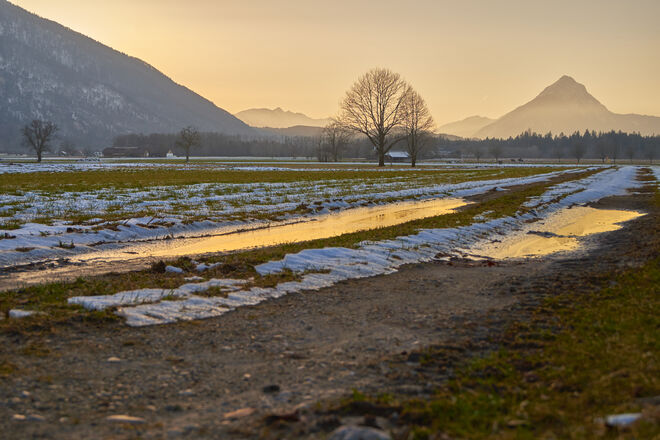 Goldene Wintersonne