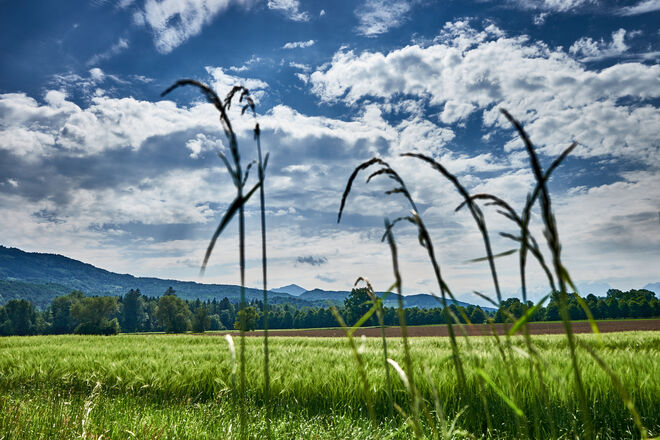 Sommerwolken