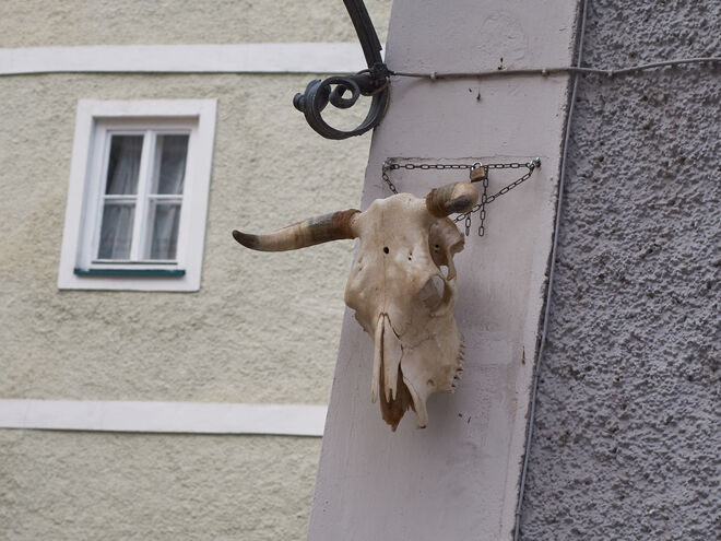Kettenhaltung ; )