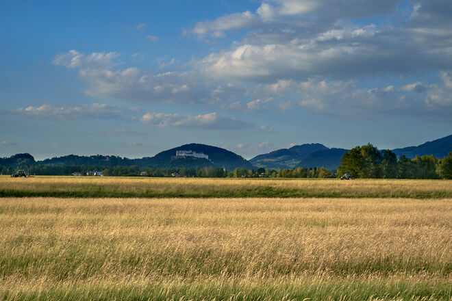 Landwirte unterwegs