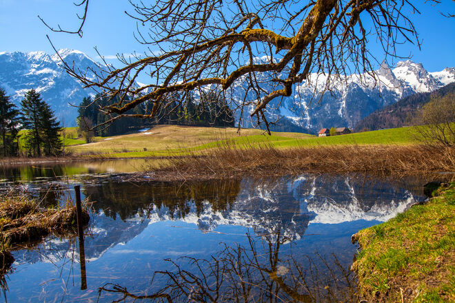 Frühling am Egelsee