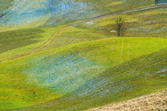 Wiesenherbst