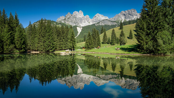 der Almsee