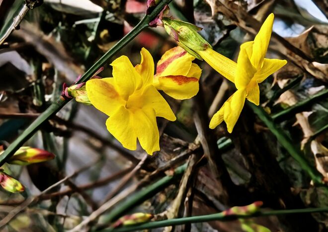 zur Wintersonnenwende . . .