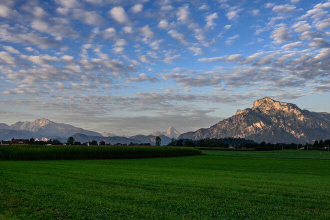 am frühen Morgen