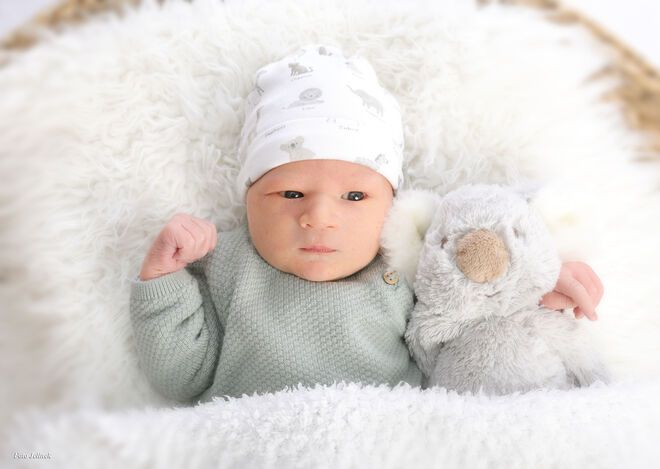 Daniel Michael