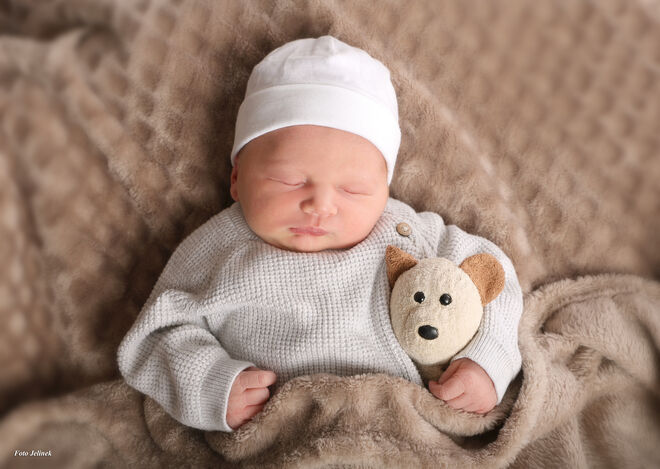Moritz Samuel Schützinger