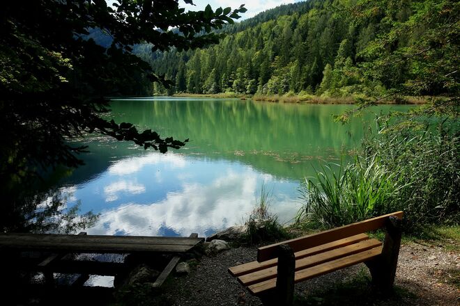 . . . . beim Teichabfluss . . .