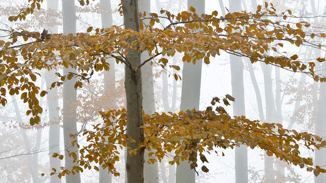 November . . .