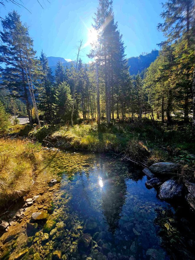 Herbstsonne