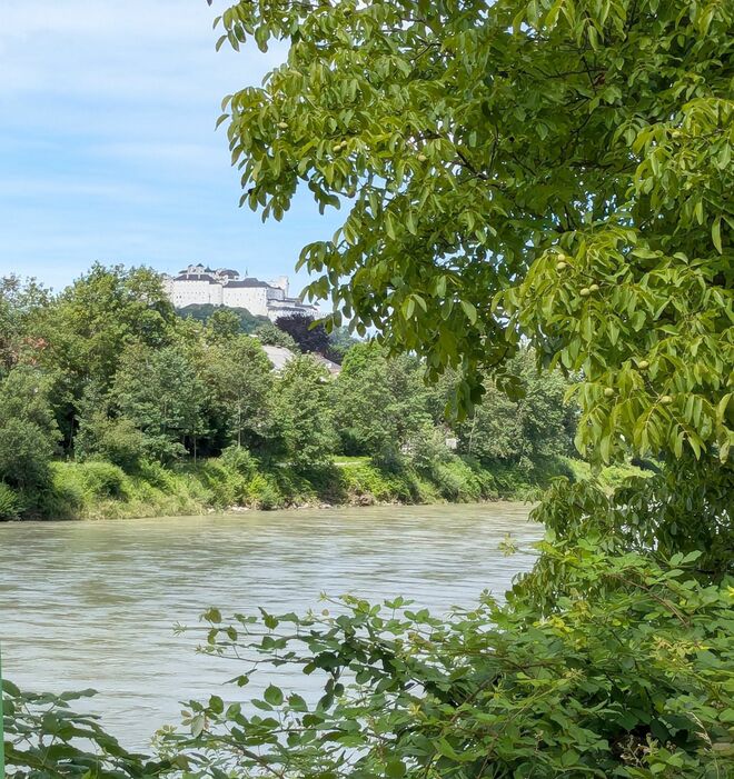 die Nüsse leuchten schon . . .