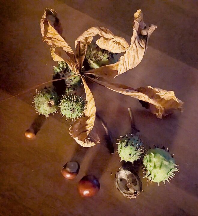 . . . die ersten . . . .