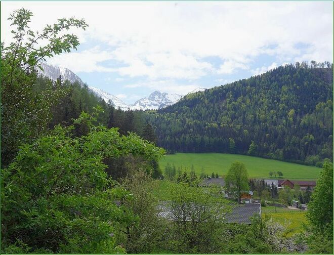 . . . die vielen Grün an Sonnentagen . . .