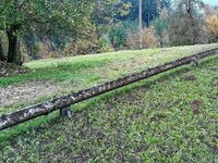 Bauer "düngte" Sommerrodelbahn in Abtenau - Bergbahnen erstatten Anzeige wegen Sachbeschädigung