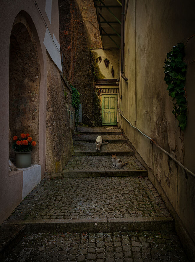 Gässchen in der Altstadt