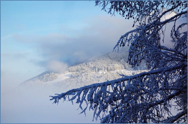 . . .  ein Stück Tamberg