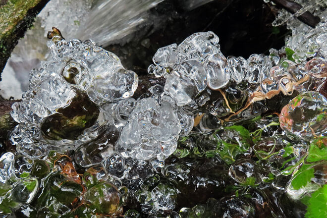 "Eiswurm" oder "Eisperlenkette"