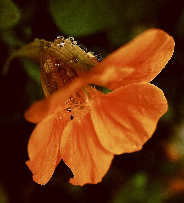. . . in einer Regenpause