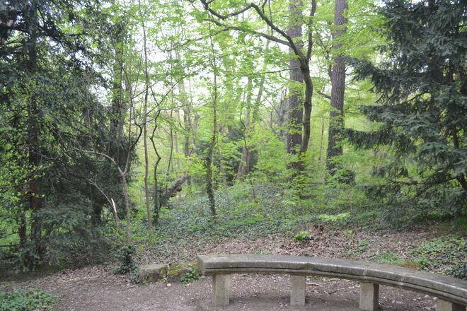 Der wilde Schlosspark