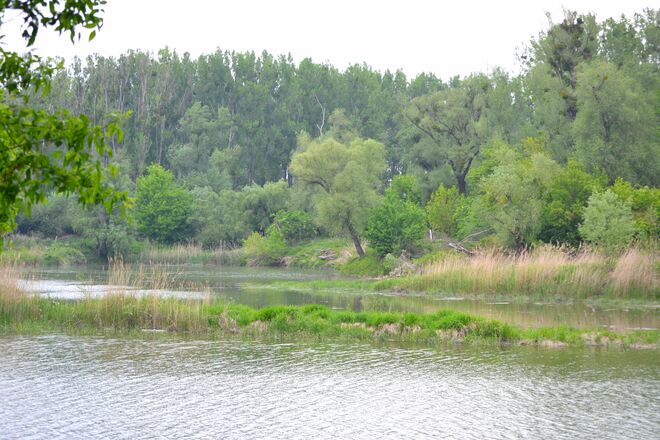 Aulandschaft