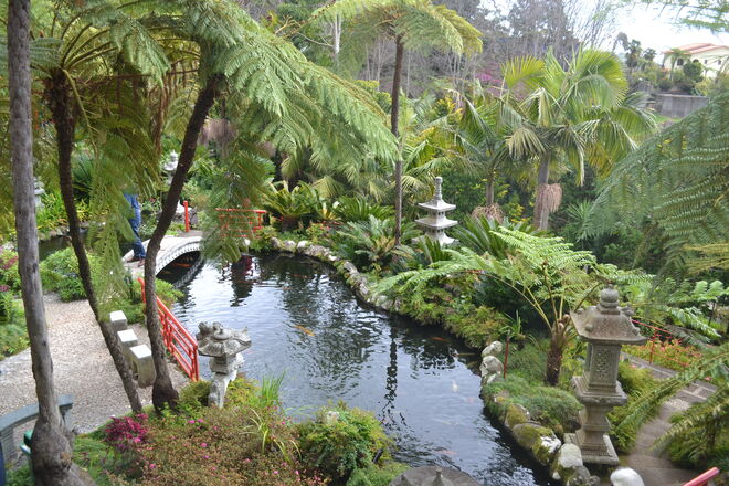 Üppiger Park