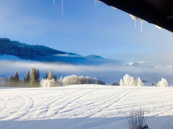 Unsere Aussicht
