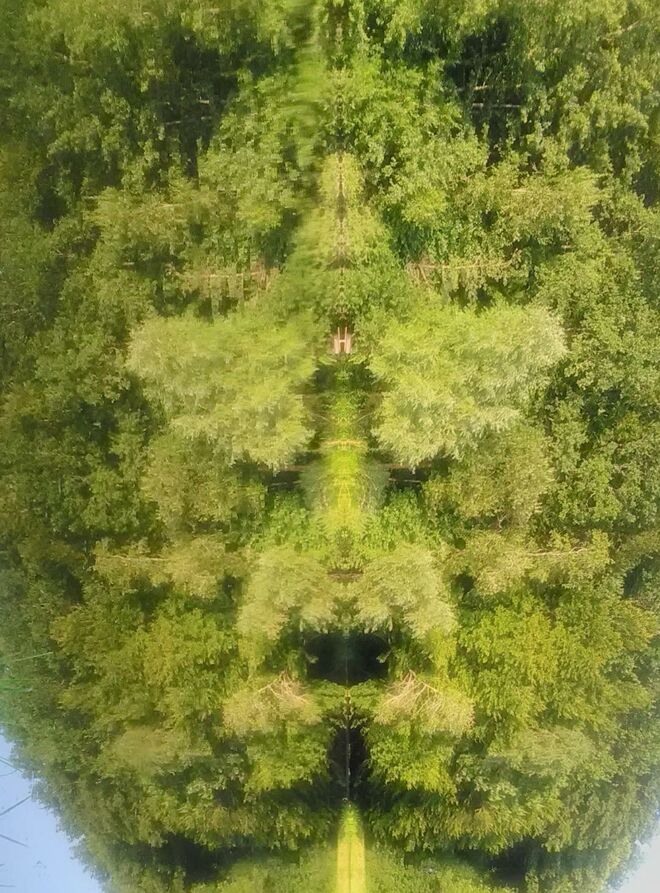 Unheimliche Begegnung der Grünen Art