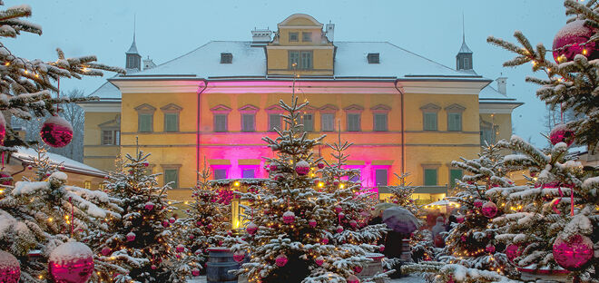Advent . . .