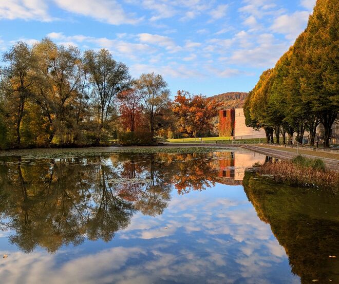 . . . herbstlicher NAWI - Weiher . . .