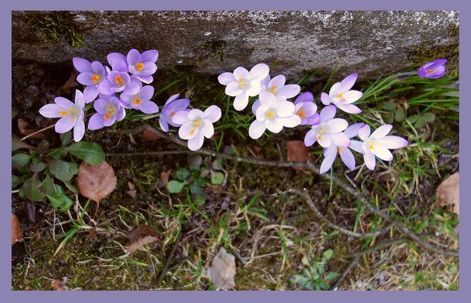 . . . heute ist "unser" Tag . . .
