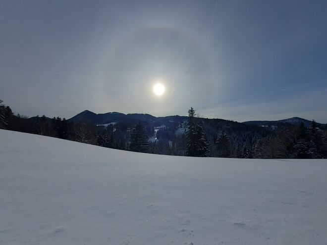 Halo